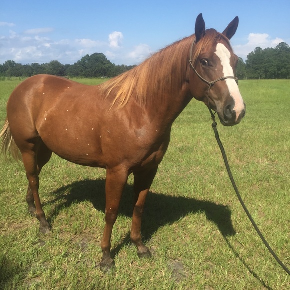 Christa - Picture 8 of 8